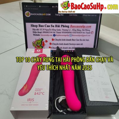 Top 10 Chày Rung Tại Hải Phòng Bán Chạy và Yêu Thích Nhất Năm 2025