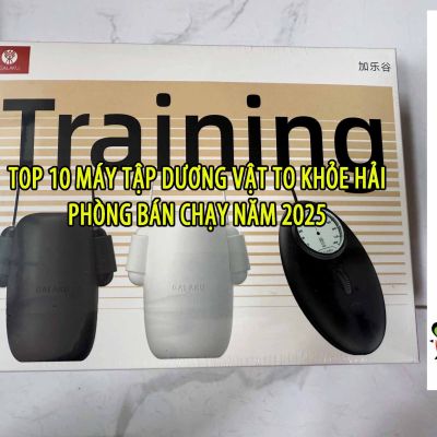 Top 10 Máy Tập Dương Vật To Khỏe Hải Phòng Bán Chạy Năm 2025