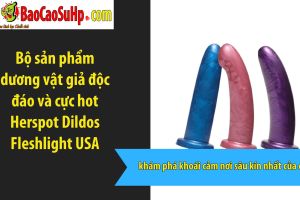 Bộ sản phẩm dương vật giả độc đáo và cực hot Herspot Dildos Fleshlight USA