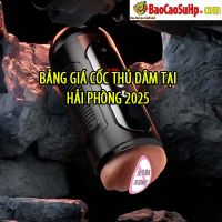 bang gia coc thu dam tai hai phong 1586ffb2