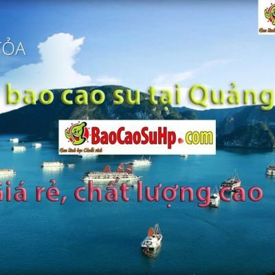20180812184104 1036762 shop bao cao su quang ninh 1 17717a4b