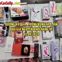 Dương vật giả, trứng rung APP, âm đạo giả nguyên khối hàng về 05.09.2024