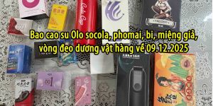 BAO CAO SU HAI PHONG HANG VE 09122025 scaled 3a6ba2d1