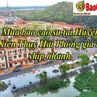 Mua bao cao su tại Huyện Kiến Thụy Hải Phòng giá rẻ ship nhanh.