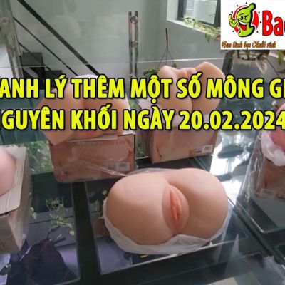 thanh ly mong 20022024