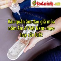 bao quan am dao gia mua nom tai viet nam 1 62af63b4