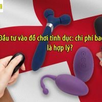 dau tu vao do choi tinh duc bao nhieu la du 7b8bad2b