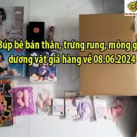 Búp bê bán thân, trứng rung, mông giả, dương vật giả hàng về 08.06.2024