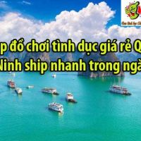 Shop đồ chơi tình dục giá rẻ Quảng Ninh ship nhanh trong ngày!