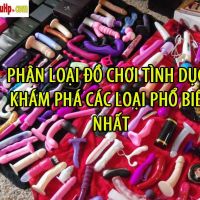 phan loai do choi tinh duc chi tiet 8de80fa1