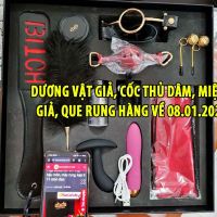 Dương vật giả, cốc thủ dâm, miệng giả, que rung hàng về 08.01.2024