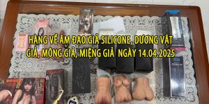 Hang ve am dao gia silicone duong vat gia mong gia mieng gia ngay 14.04.2025 scaled ad9921c5