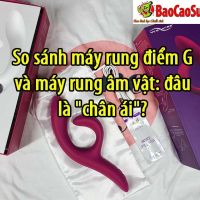 So sanh may rung diem G va may rung am vat dau la chan ai 1 b032336f