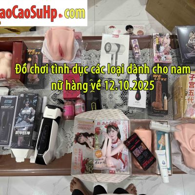 do choi tinh duc hang ve 12102025 scaled b41d11a2