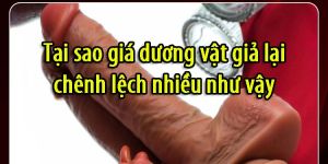 Tai sao gia duong vat gia lai chenh lech nhieu nhu vay d388e9f6