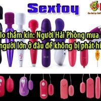 Nguoi Hai Phong mua do choi nguoi lon o dau de khong bi phat hien fa5a909d