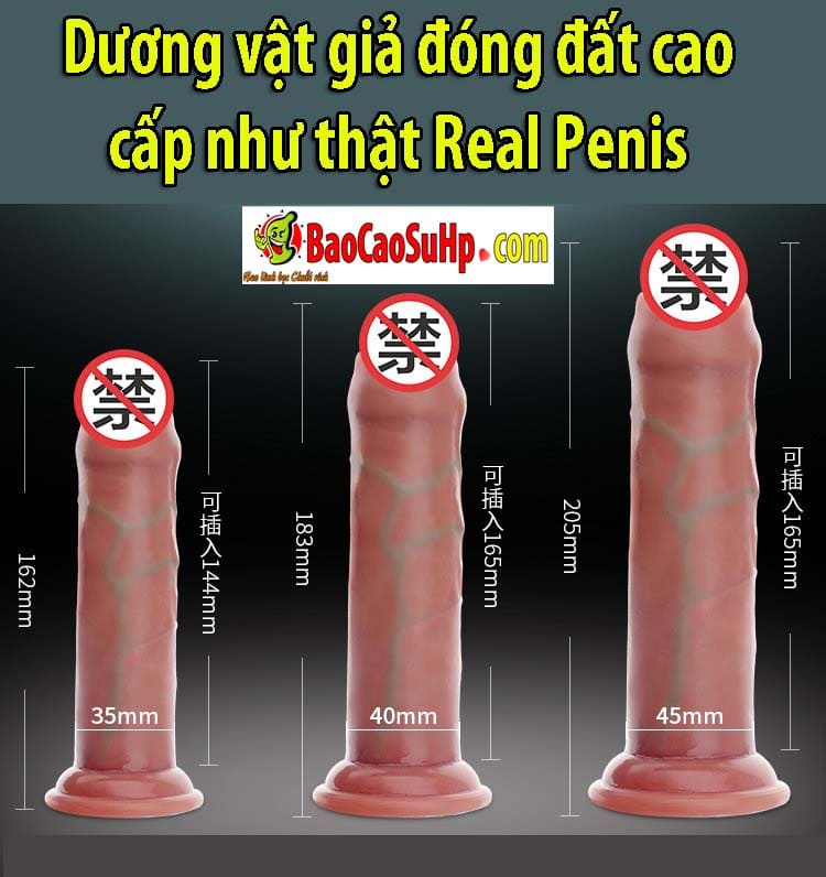 20200214233651 4379866 duong vat gia dong dat nhu that real penis 15 - Dương vật giả đóng đất cao cấp như thật Real Penis