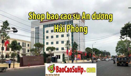 shop bao cao su an duong hai phong 1 500x290 - Shop bao cao su tại Huyện An dương