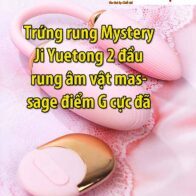 trung rung Mystery Ji Yuetong gia tot hai phong 196x196 - Trứng rung giá rẻ Mizzzee PV cắm USB kích thích cực sướng