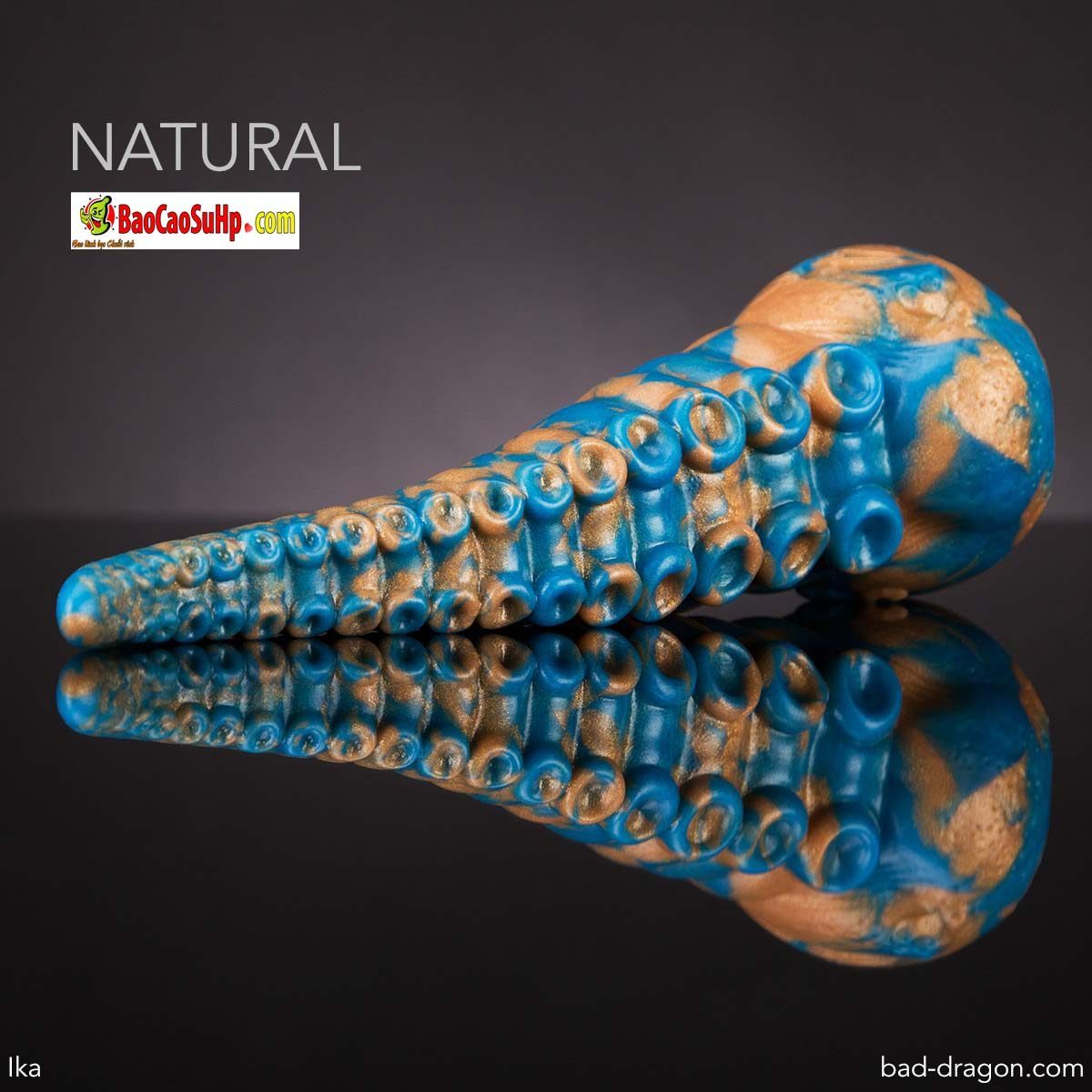 duong vat gia Bad Dragon Ika 1