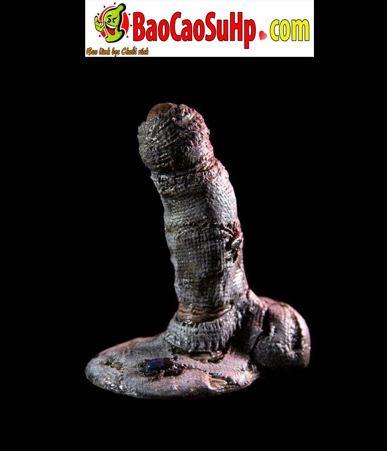 Duong vat gia Pharaoh - Monster Cocks hãng đồ chơi tình dục phong cách kinh dị đáng sợ
