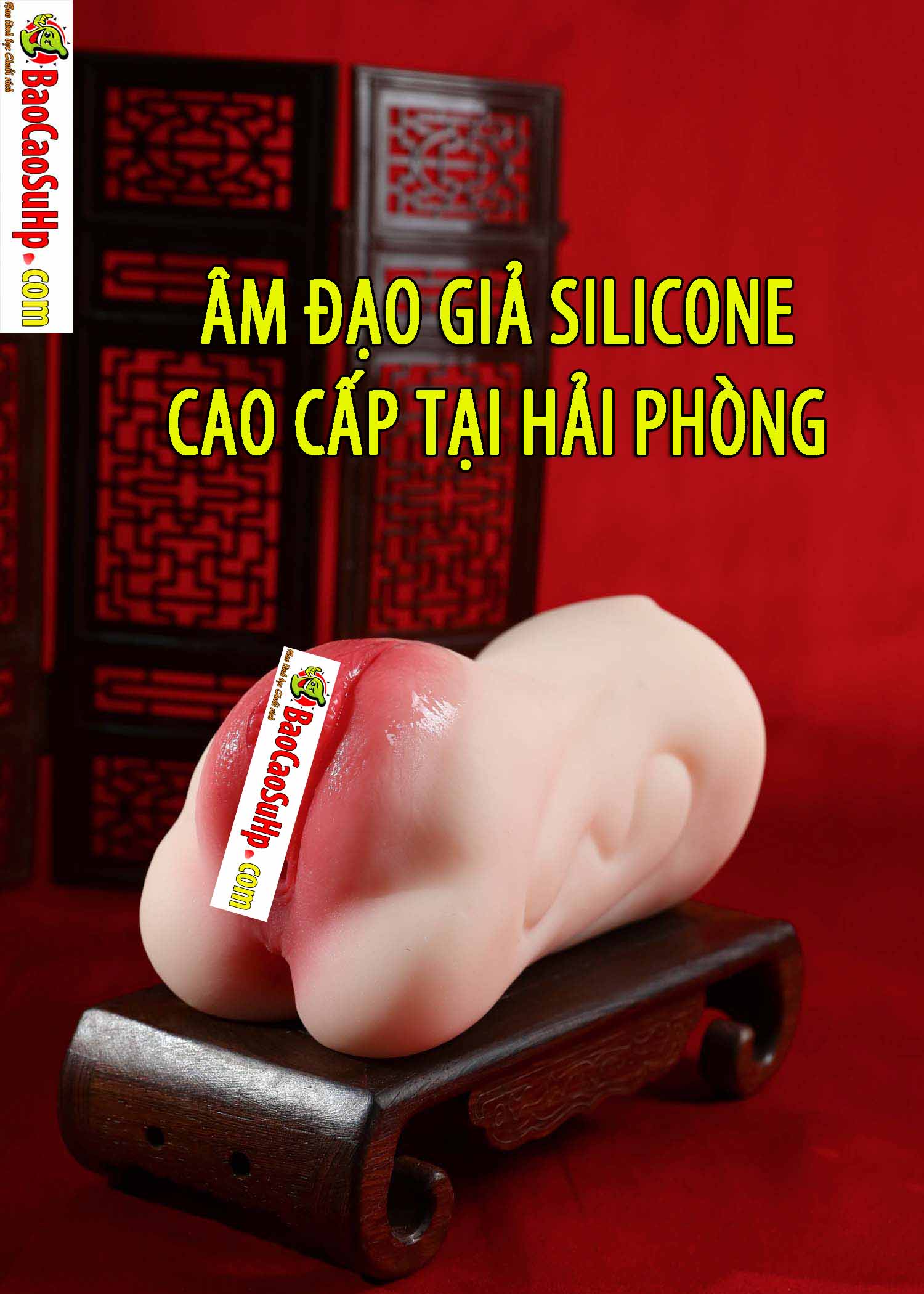 am dao gia cao cap silicone tai hai phong 1