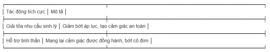 bup be tinh duc tai viet nam bang 13