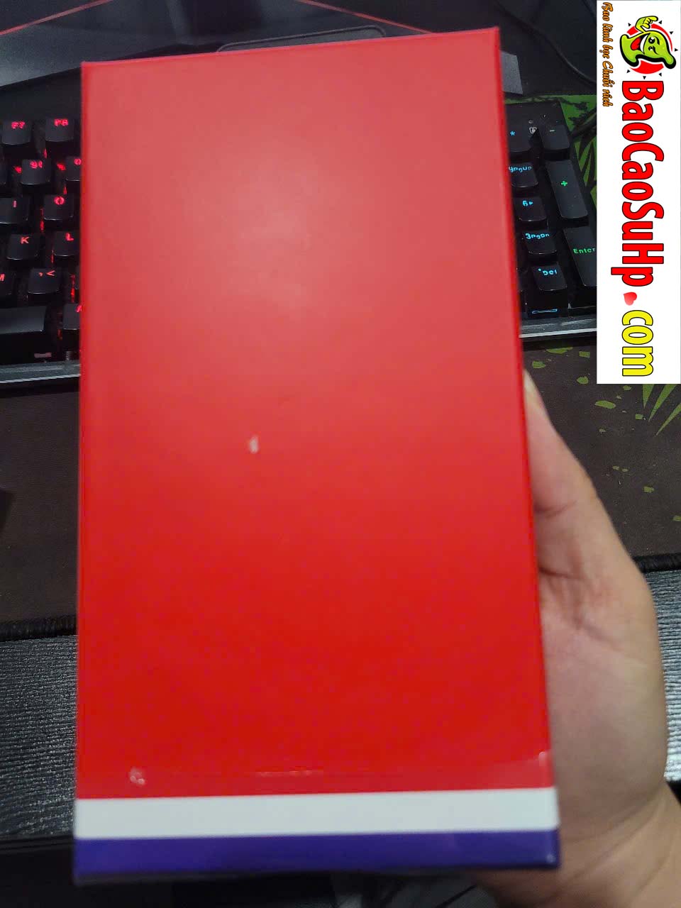 anh chup trung rung PRETTY LOVE Callieri BI 014892W 7