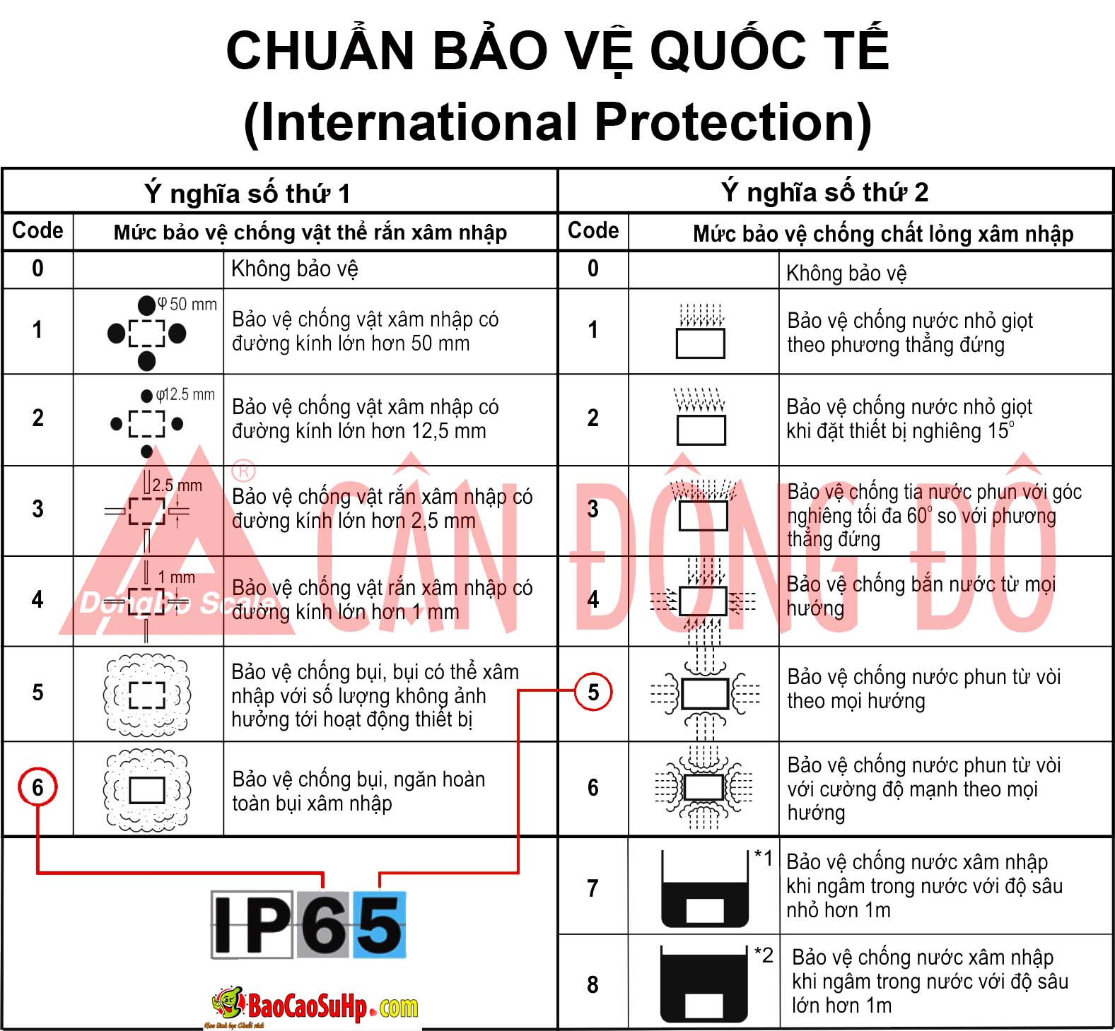 tieu chuan khang nuoc do choi tinh duc 2