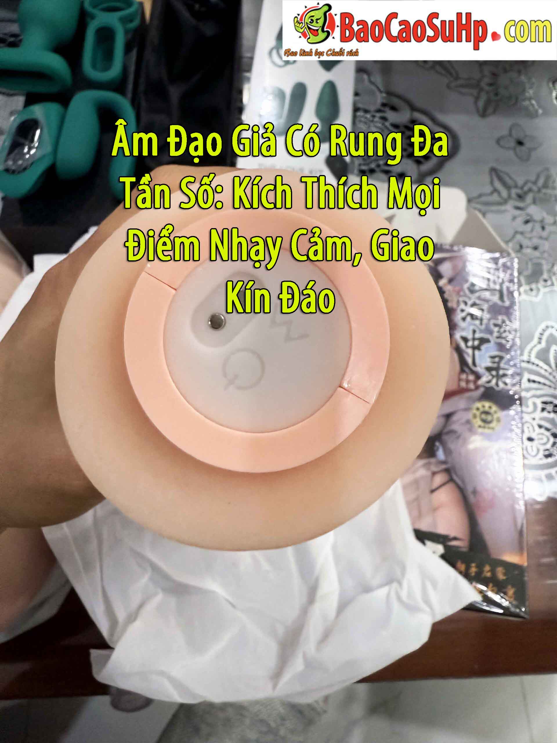 am dao gia rung dung cuc suong