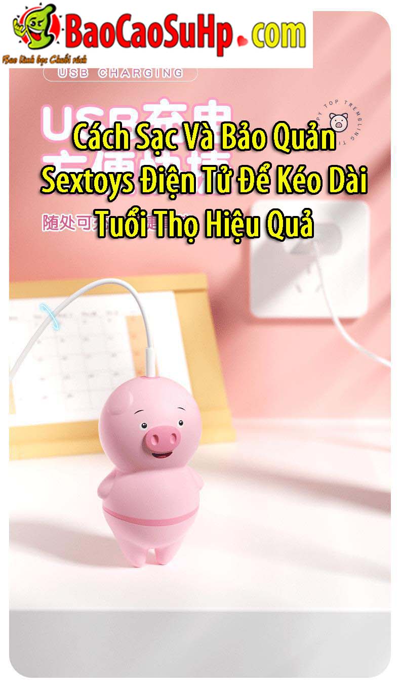 cach sac va bao quan sextoy dien tu keo dai tuoi tho hieu qua