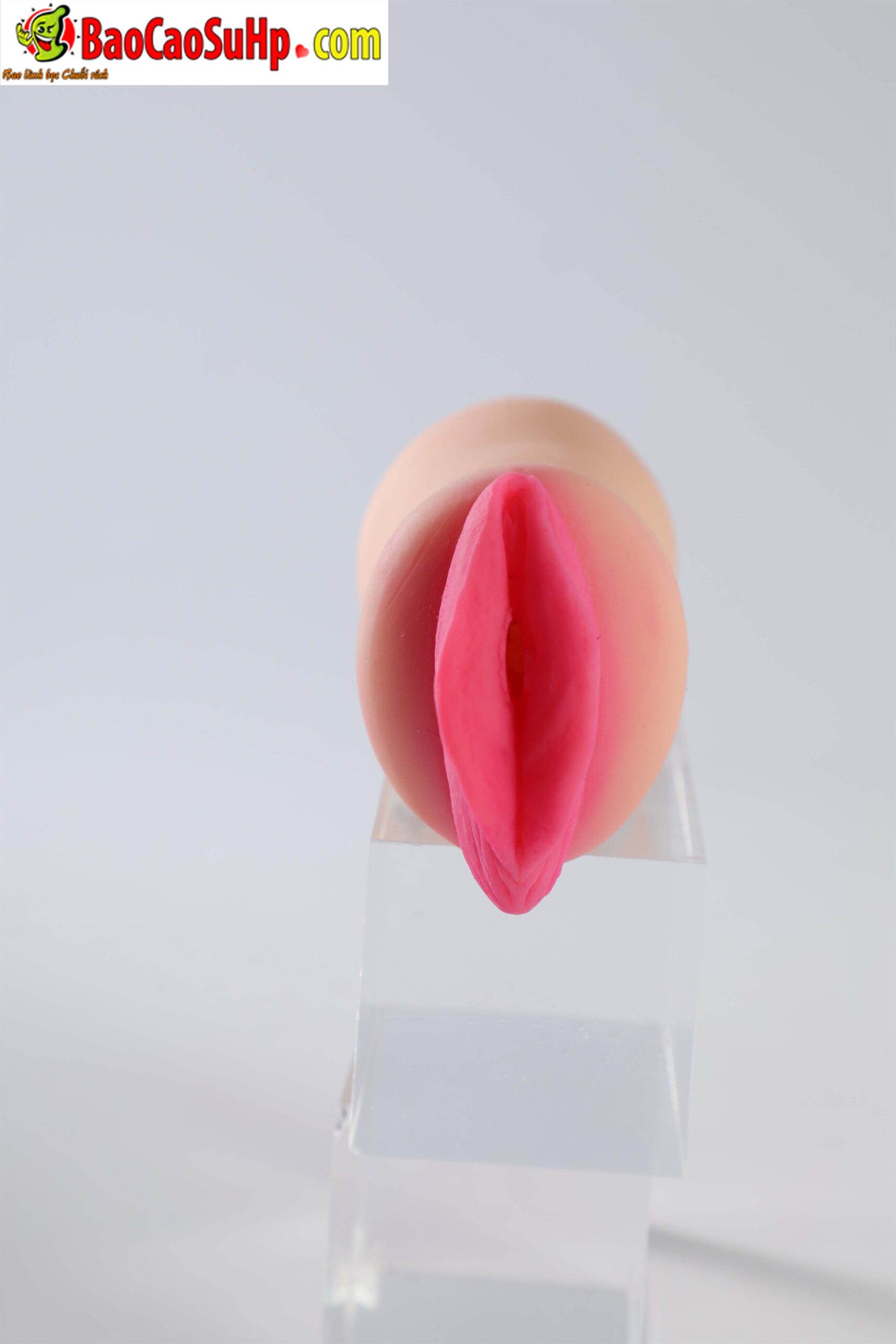 478A0786 scaled - Búp bê tình dục bán thân Hân Nghiên 2 lõi thay thế 5kg