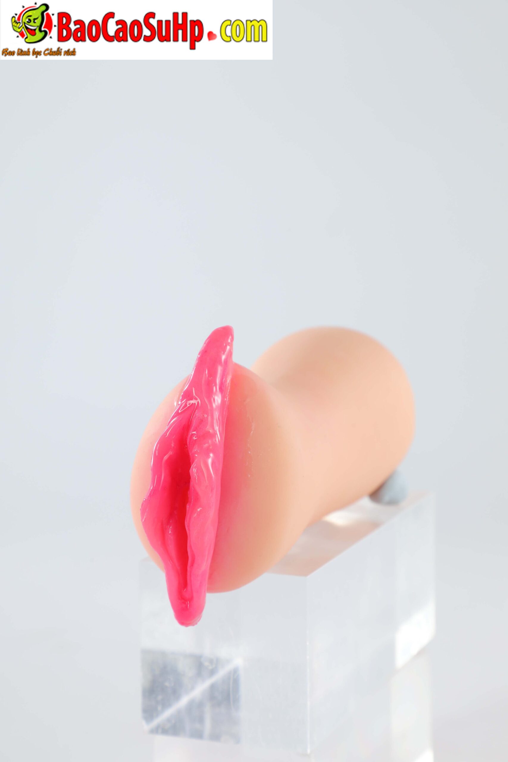 478A0811 scaled - Búp bê tình dục bán thân Hân Nghiên 2 lõi thay thế 5kg