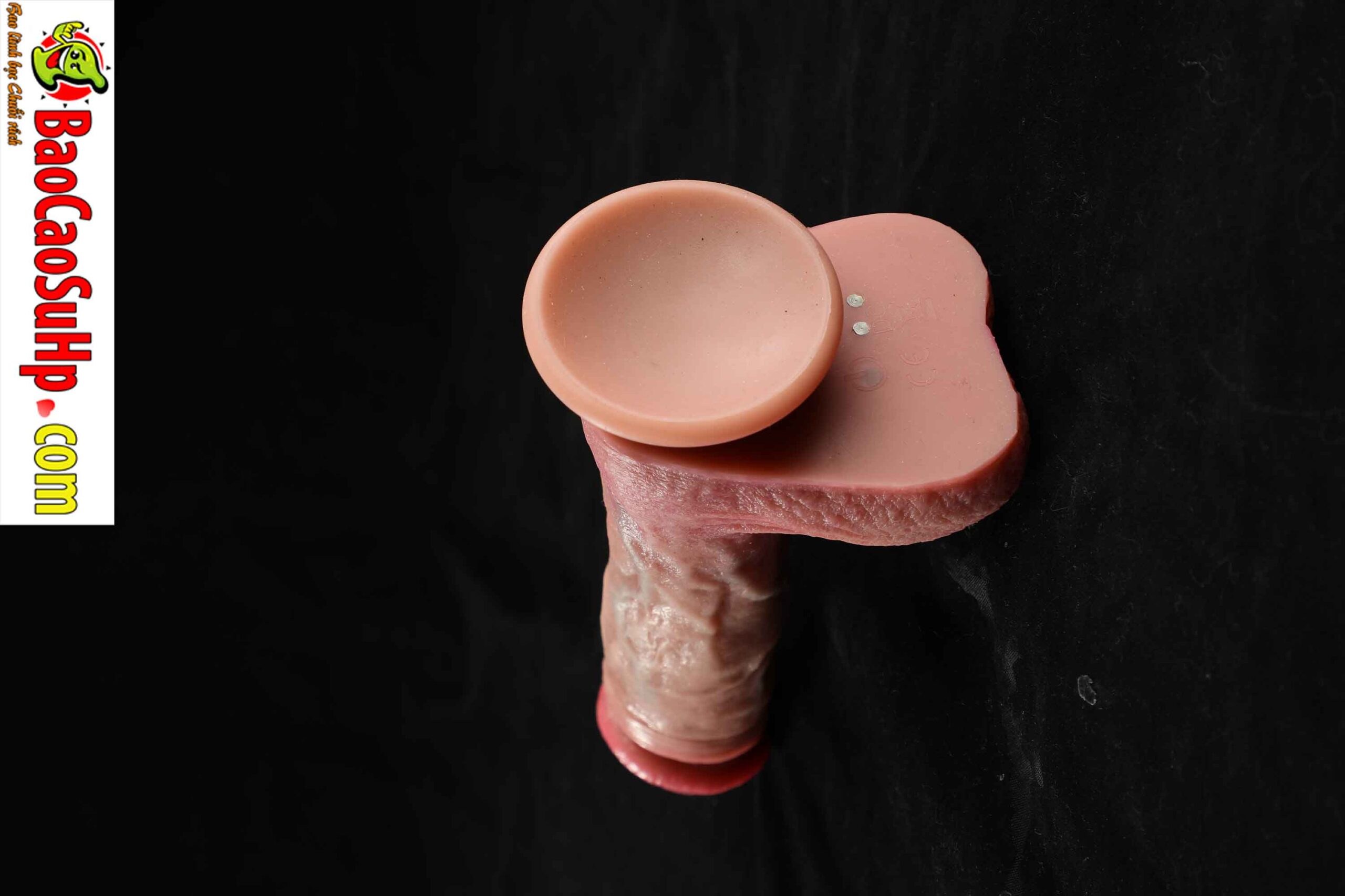 834A9858 scaled - Dương vật giả đóng đất full silicone rung thụt phát nhiệt Benjamin