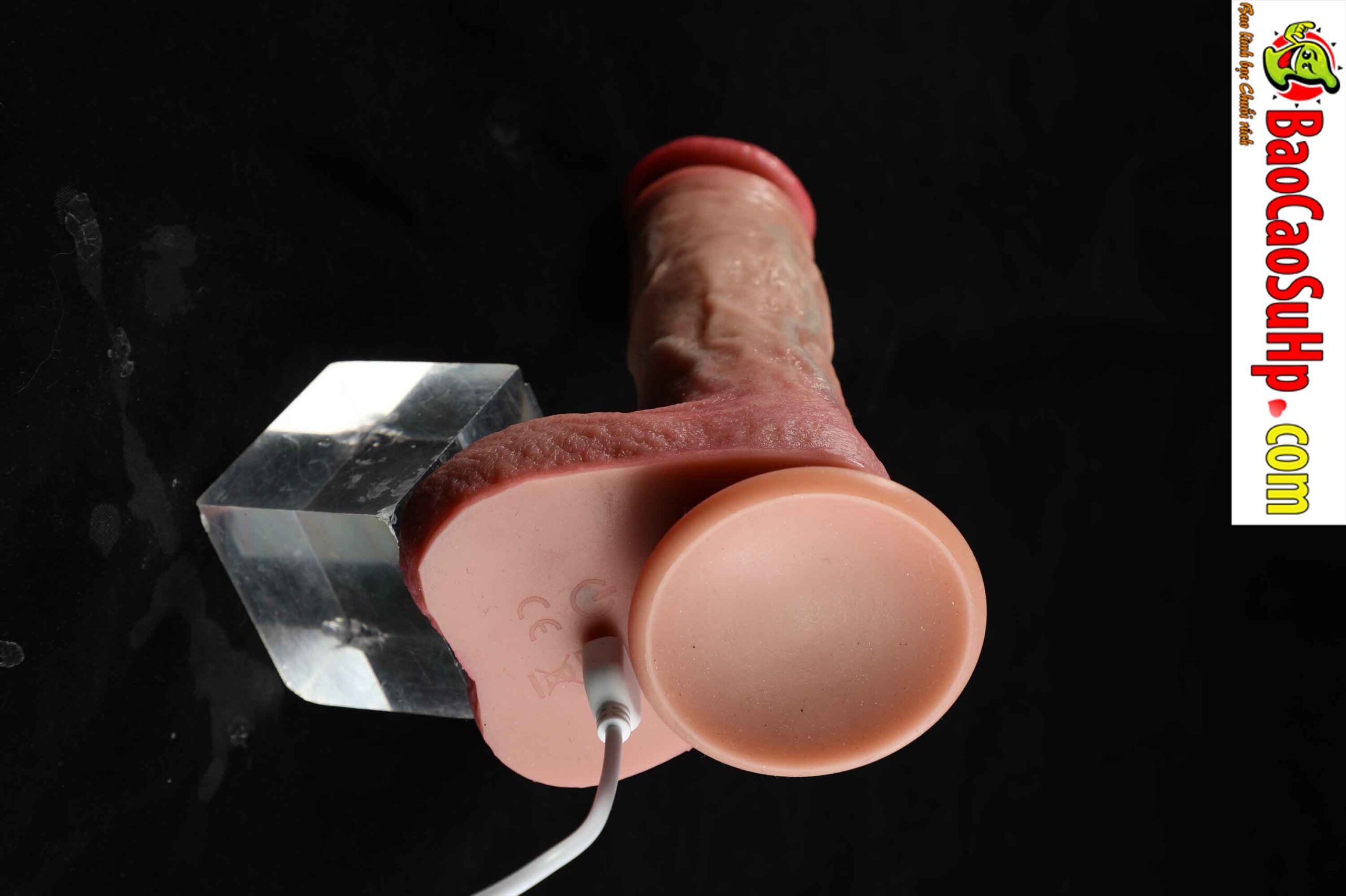 834A9869 scaled - Dương vật giả đóng đất full silicone rung thụt phát nhiệt Benjamin