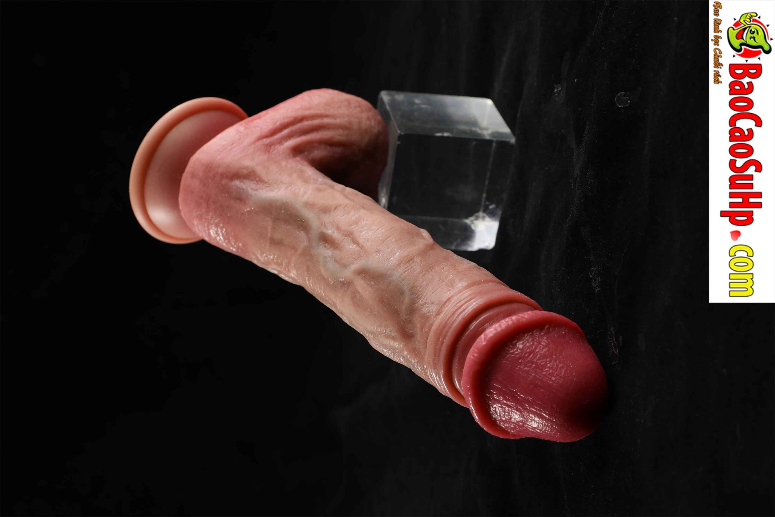 834A9875 scaled - Dương vật giả đóng đất full silicone rung thụt phát nhiệt Benjamin