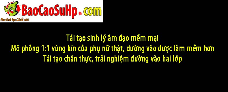 Bup be tinh duc ban than Full Silicone Evelyn co dau 19 - Búp bê tình dục bán thân Full Silicone Evelyn có đầu 27kg xinh đẹp