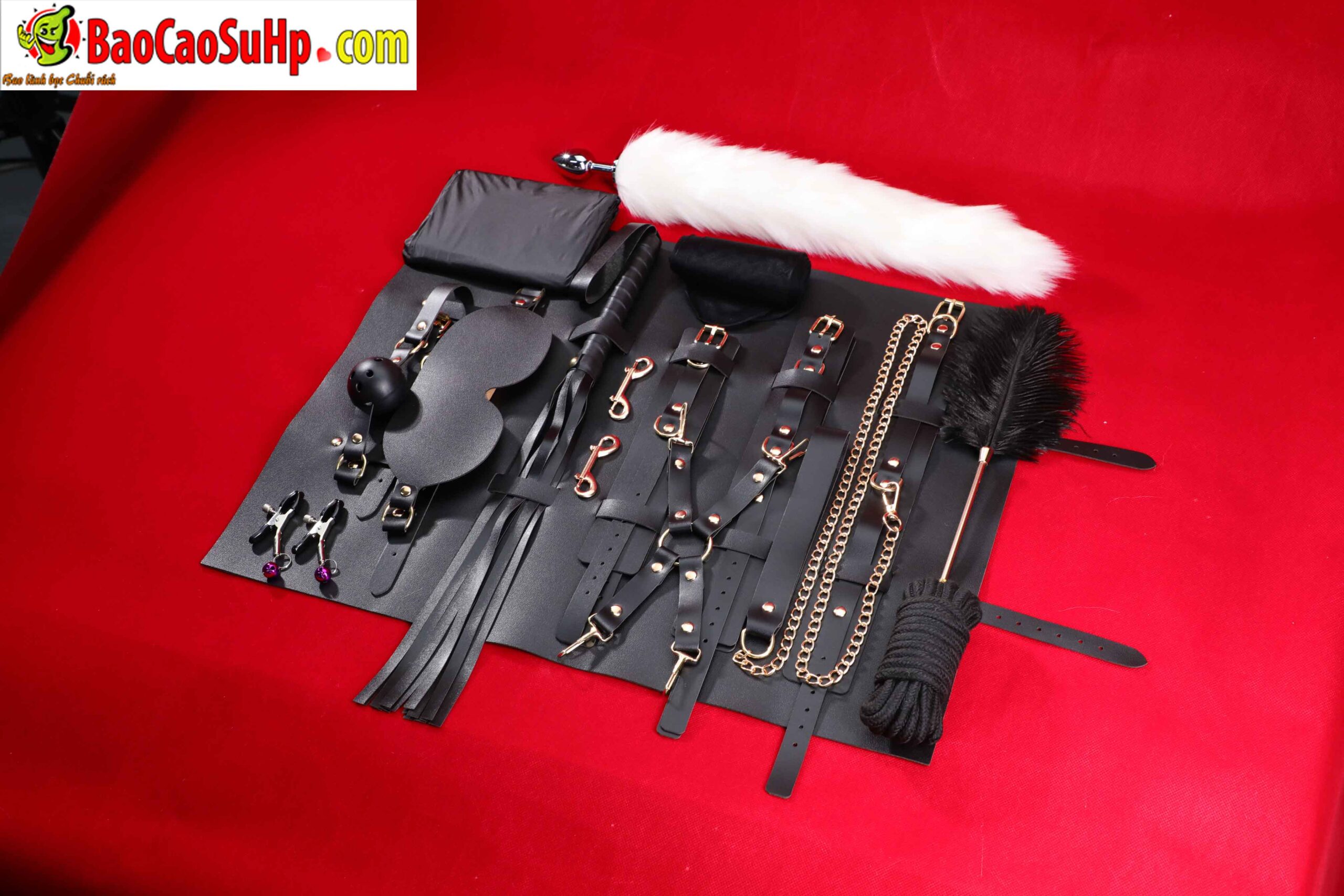 478A5154 scaled - Giới Thiệu Bộ BDSM Mizzzee Asher 15 Món: Tuyệt Tác Khai Phá Quyền Lực và Đam Mê