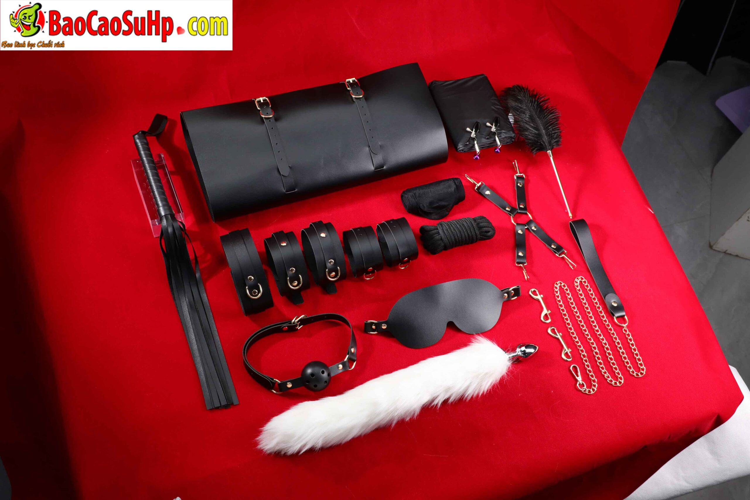 478A5169 scaled - Giới Thiệu Bộ BDSM Mizzzee Asher 15 Món: Tuyệt Tác Khai Phá Quyền Lực và Đam Mê