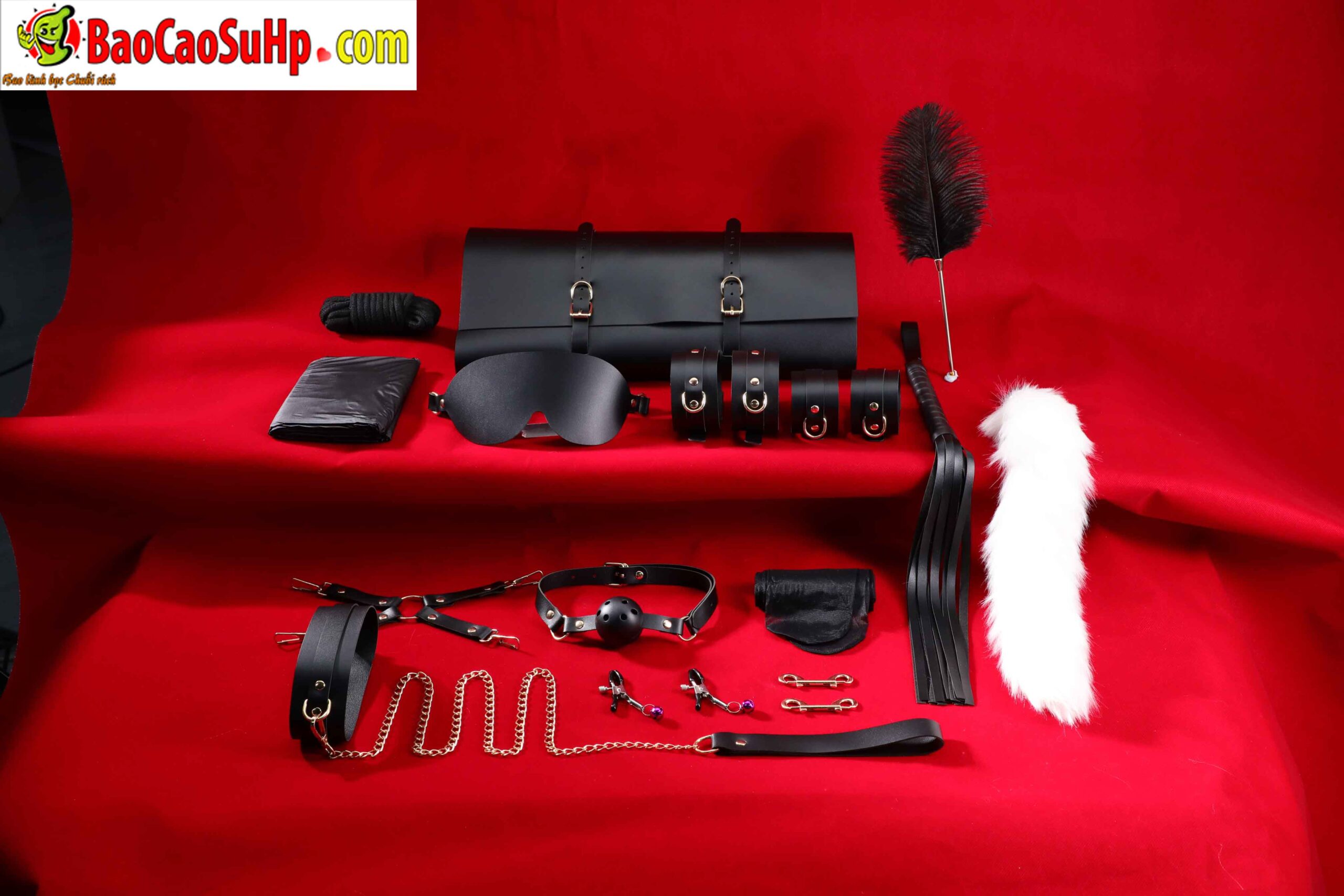 478A5258 scaled - Giới Thiệu Bộ BDSM Mizzzee Asher 15 Món: Tuyệt Tác Khai Phá Quyền Lực và Đam Mê