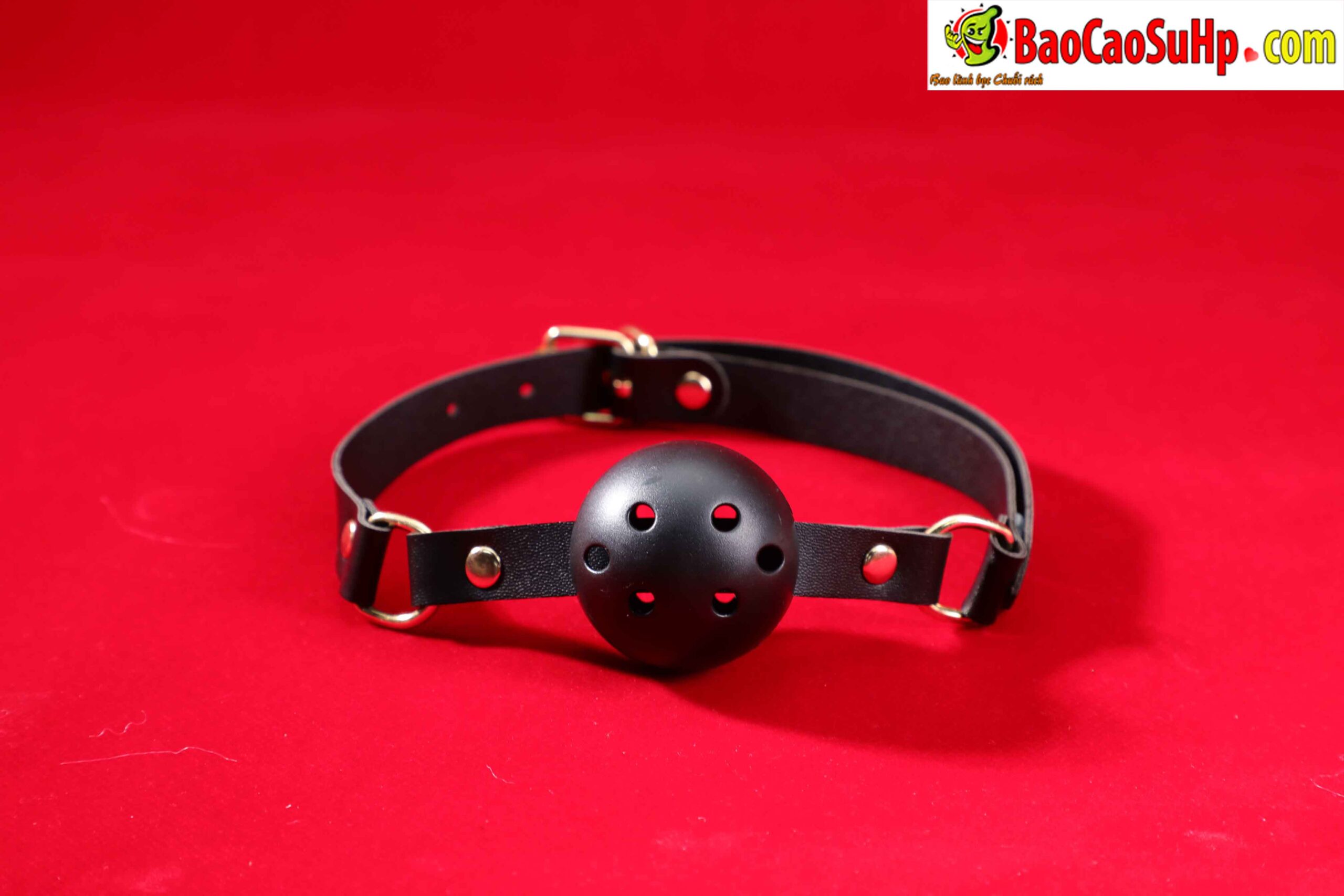 478A5273 scaled - Giới Thiệu Bộ BDSM Mizzzee Asher 15 Món: Tuyệt Tác Khai Phá Quyền Lực và Đam Mê