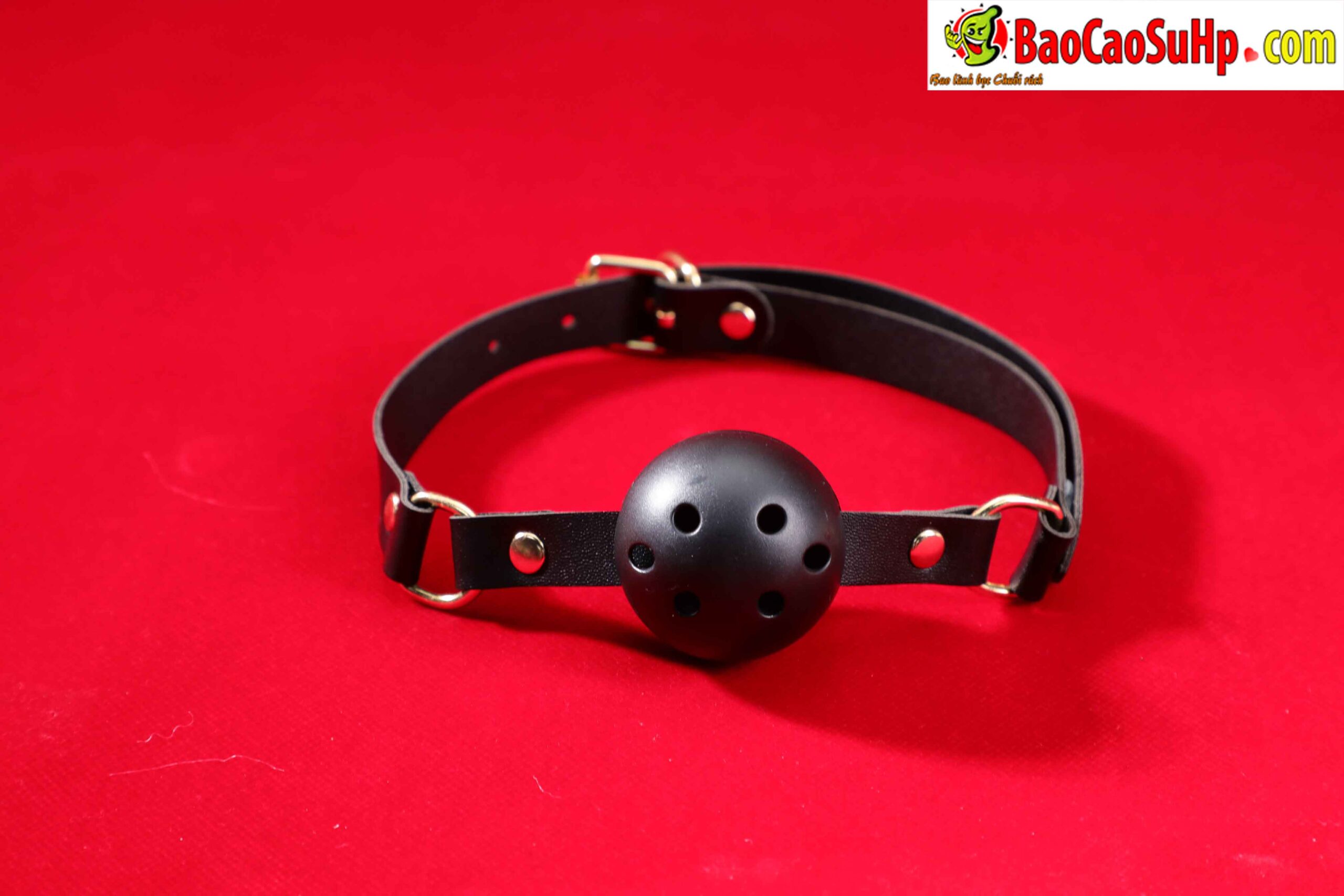 478A5274 scaled - Giới Thiệu Bộ BDSM Mizzzee Asher 15 Món: Tuyệt Tác Khai Phá Quyền Lực và Đam Mê