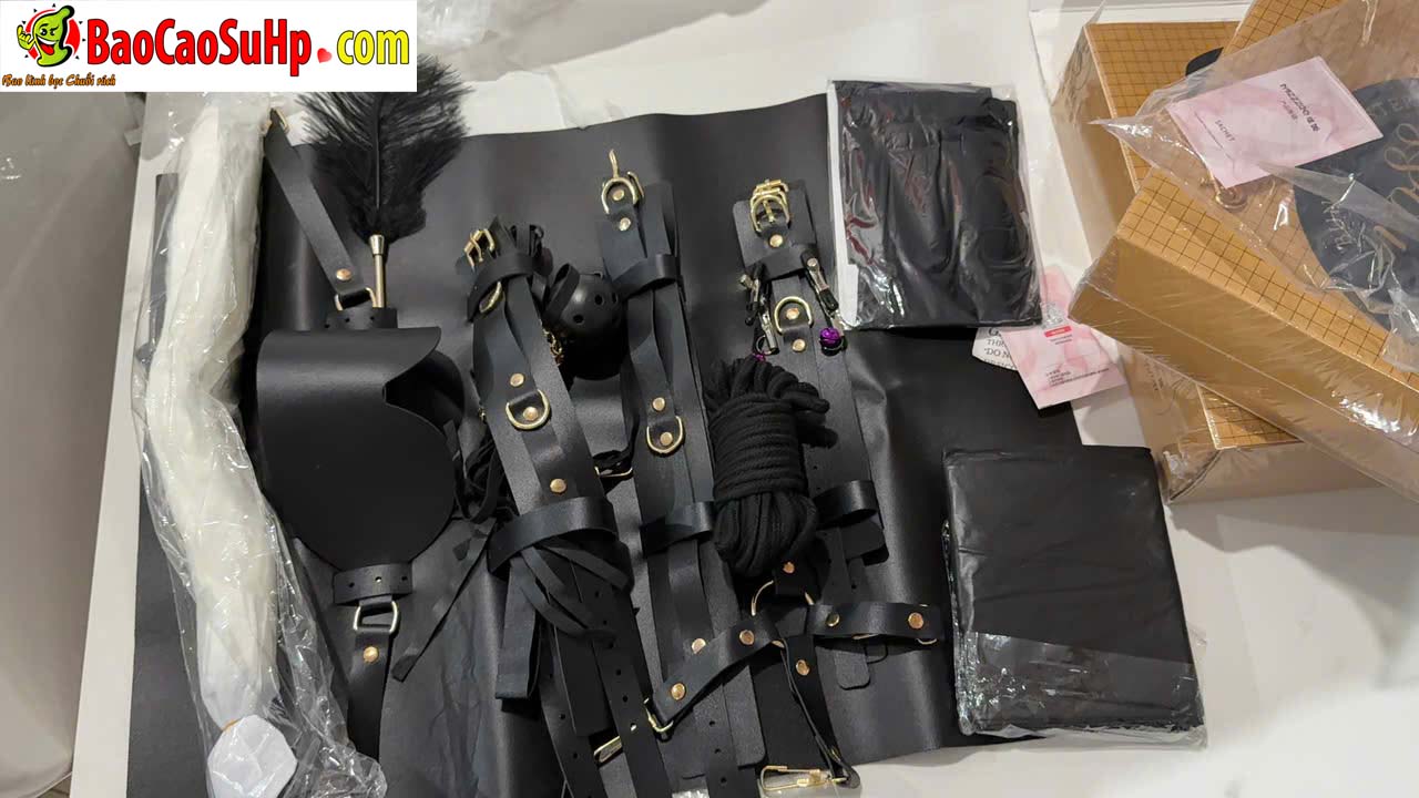 Bo BDSM Mizzzee Asher 4 - Giới Thiệu Bộ BDSM Mizzzee Asher 15 Món: Tuyệt Tác Khai Phá Quyền Lực và Đam Mê