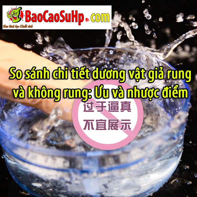 so sanh duong vat gia rung va khong rung