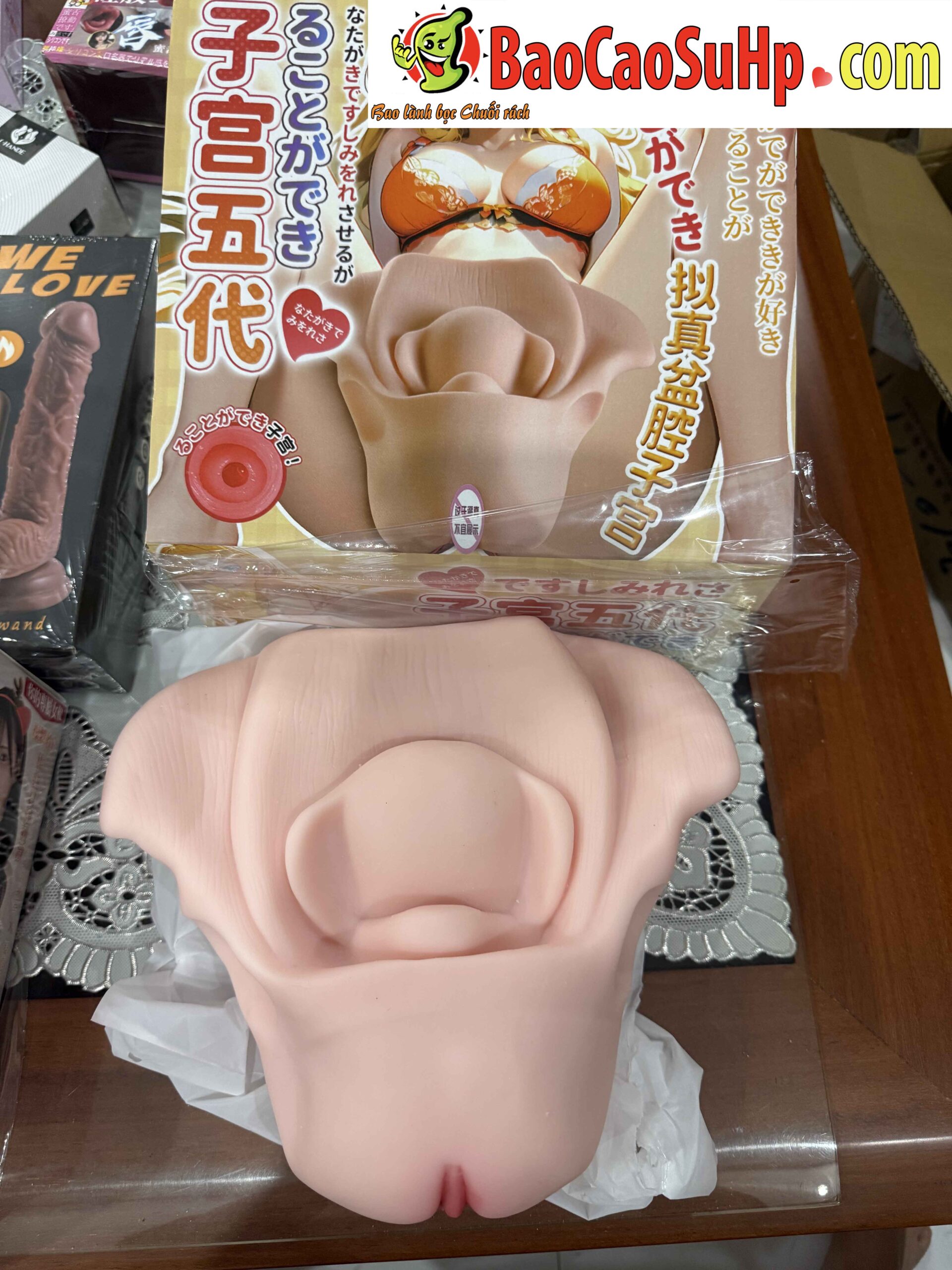 Am dao gia mo phong tu cung Jiuai Ver 5 Uterine Mold 2kg 2 scaled