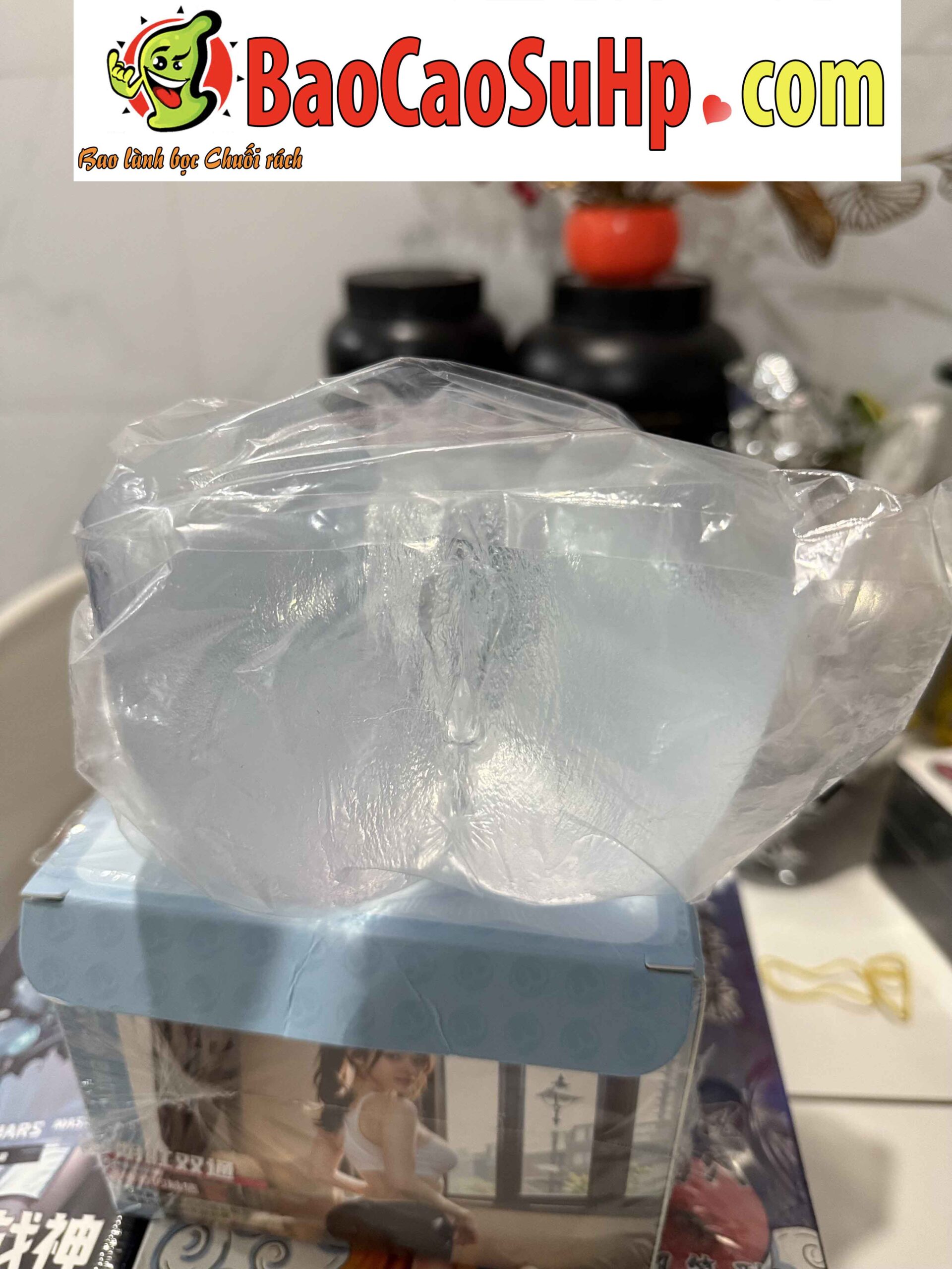 Mong gia trong suot Mizzzee Akiko Hoshino 1 scaled