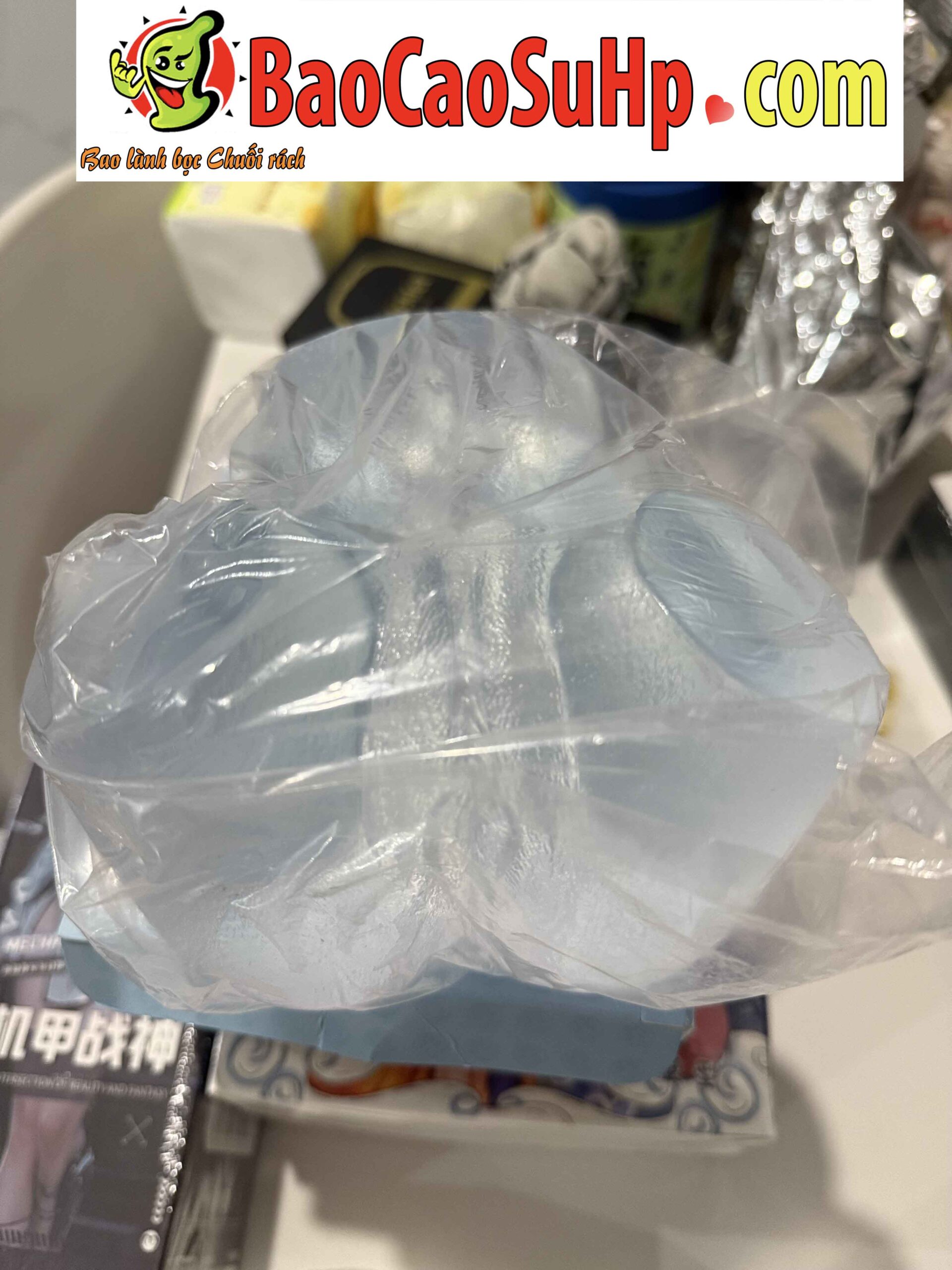 Mong gia trong suot Mizzzee Akiko Hoshino 2 scaled