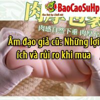 Âm đạo giả cũ: Những lợi ích và rủi ro khi mua