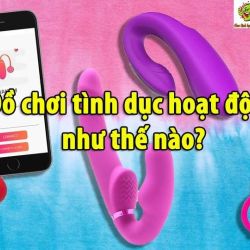Đồ chơi tình dục hoạt động như thế nào?