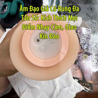 Âm Đạo Giả Có Rung Đa Tần Số: Kích Thích Mọi Điểm Nhạy Cảm, Giao Kín Đáo